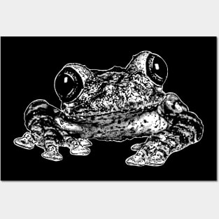 Frogstomp | 80s Styled Vintage Design Posters and Art